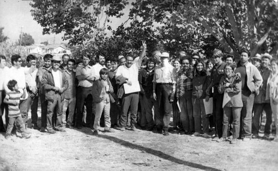 (3386) Boycott organizers, volunteers (3386) Boycott organizers, volunteers